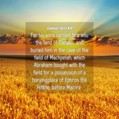Picture 04 - Genesis 50:13 KJV - For his sons carried him into the land of Canaan, - Bible Verse Picture