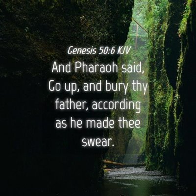 Picture 04 - Genesis 50:6 KJV - And Pharaoh said, Go up, and bury thy father, - Bible Verse Picture