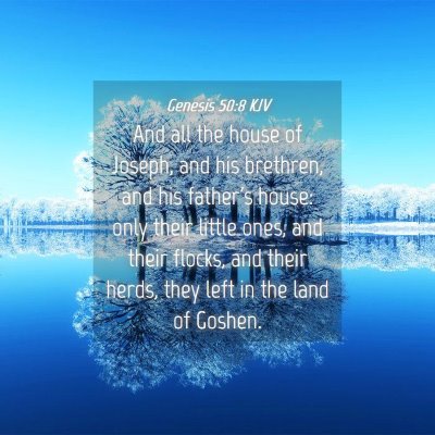Picture 04 - Genesis 50:8 KJV - And all the house of Joseph, and his brethren, - Bible Verse Picture