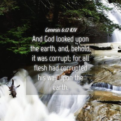 Picture 04 - Genesis 6:12 KJV - And God looked upon the earth, and, behold, it - Bible Verse Picture