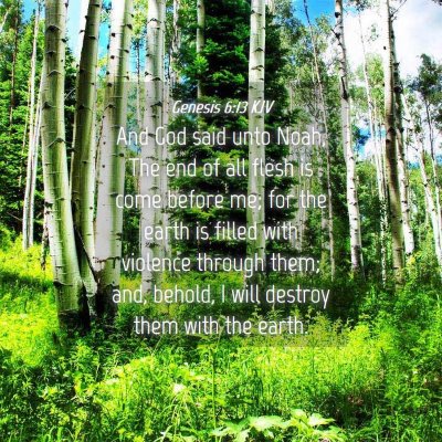 Picture 04 - Genesis 6:13 KJV - And God said unto Noah, The end of all flesh is - Bible Verse Picture