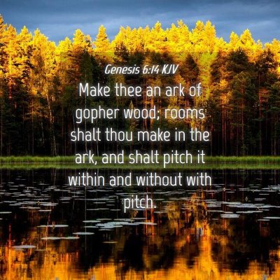 Picture 04 - Genesis 6:14 KJV - Make thee an ark of gopher wood; rooms shalt thou - Bible Verse Picture