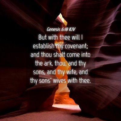 Picture 04 - Genesis 6:18 KJV - But with thee will I establish my covenant; and - Bible Verse Picture