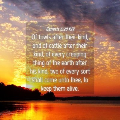 Picture 04 - Genesis 6:20 KJV - Of fowls after their kind, and of cattle after - Bible Verse Picture