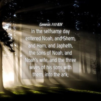 Picture 04 - Genesis 7:13 KJV - In the selfsame day entered Noah, and Shem, and - Bible Verse Picture