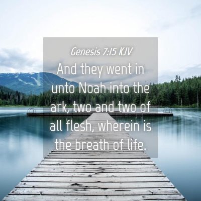 Picture 04 - Genesis 7:15 KJV - And they went in unto Noah into the ark, two and - Bible Verse Picture