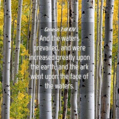 Picture 04 - Genesis 7:18 KJV - And the waters prevailed, and were increased - Bible Verse Picture