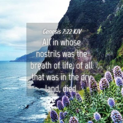 Picture 04 - Genesis 7:22 KJV - All in whose nostrils was the breath of life, of - Bible Verse Picture