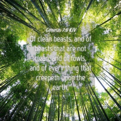 Picture 04 - Genesis 7:8 KJV - Of clean beasts, and of beasts that are not - Bible Verse Picture