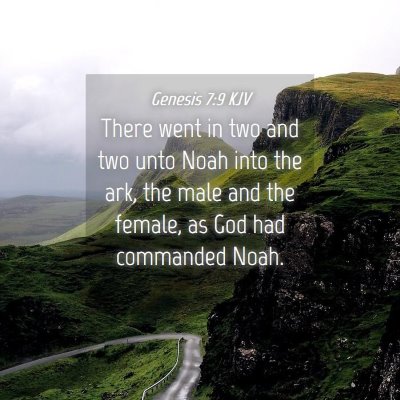 Picture 04 - Genesis 7:9 KJV - There went in two and two unto Noah into the ark, - Bible Verse Picture