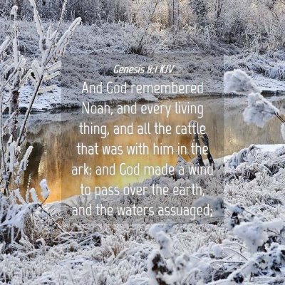 Picture 04 - Genesis 8:1 KJV - And God remembered Noah, and every living thing, - Bible Verse Picture