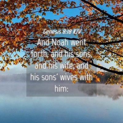 Picture 04 - Genesis 8:18 KJV - And Noah went forth, and his sons, and his wife, - Bible Verse Picture