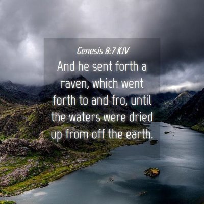 Picture 04 - Genesis 8:7 KJV - And he sent forth a raven, which went forth to - Bible Verse Picture