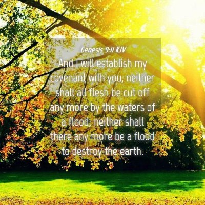 Picture 04 - Genesis 9:11 KJV - And I will establish my covenant with you, - Bible Verse Picture