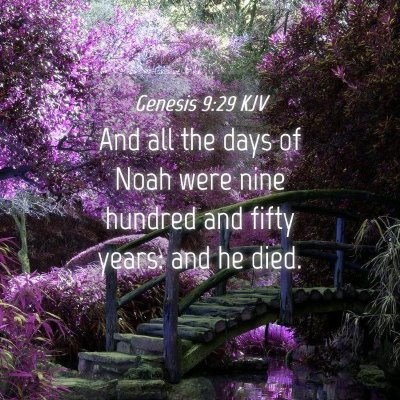 Picture 04 - Genesis 9:29 KJV - And all the days of Noah were nine hundred and - Bible Verse Picture