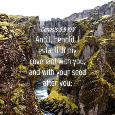 Picture 04 - Genesis 9:9 KJV - And I, behold, I establish my covenant with you, - Bible Verse Picture