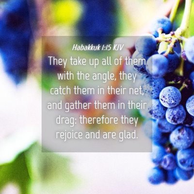 Picture 04 - Habakkuk 1:15 KJV - They take up all of them with the angle, they - Bible Verse Picture