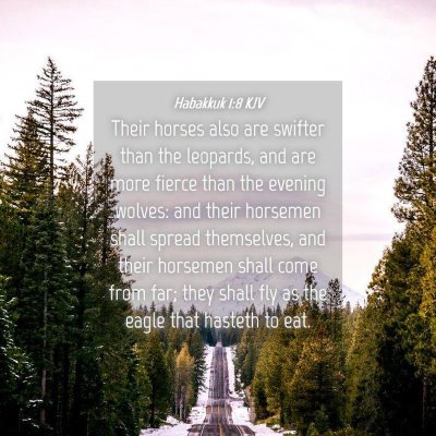 Picture 04 - Habakkuk 1:8 KJV - Their horses also are swifter than the leopards, - Bible Verse Picture