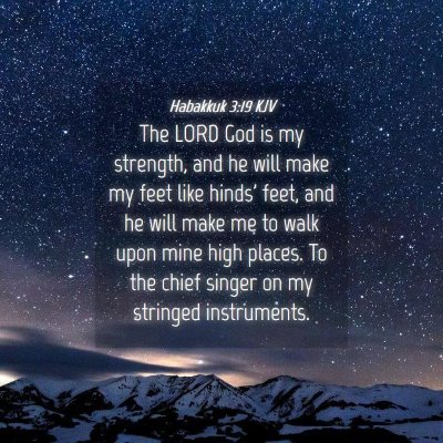 Picture 04 - Habakkuk 3:19 KJV - The LORD God is my strength, and he will make my - Bible Verse Picture