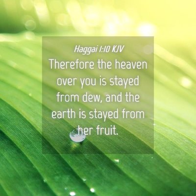 Picture 04 - Haggai 1:10 KJV - Therefore the heaven over you is stayed from dew, - Bible Verse Picture