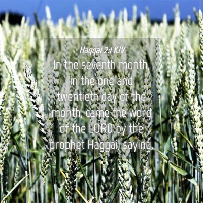 Picture 04 - Haggai 2:1 KJV - In the seventh month, in the one and twentieth - Bible Verse Picture