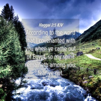 Picture 04 - Haggai 2:5 KJV - According to the word that I covenanted with you - Bible Verse Picture