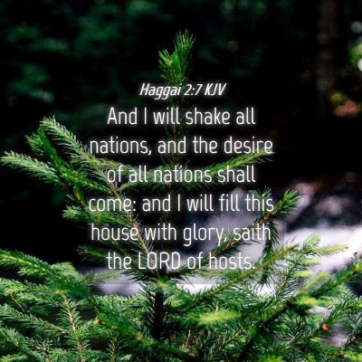 Picture 04 - Haggai 2:7 KJV - And I will shake all nations, and the desire of - Bible Verse Picture