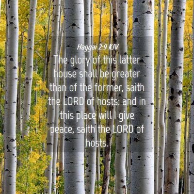 Picture 04 - Haggai 2:9 KJV - The glory of this latter house shall be greater - Bible Verse Picture