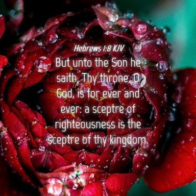 Picture 04 - Hebrews 1:8 KJV - But unto the Son he saith, Thy throne, O God, is - Bible Verse Picture