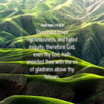 Picture 04 - Hebrews 1:9 KJV - Thou hast loved righteousness, and hated - Bible Verse Picture