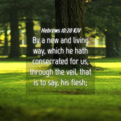 Picture 04 - Hebrews 10:20 KJV - By a new and living way, which he hath - Bible Verse Picture