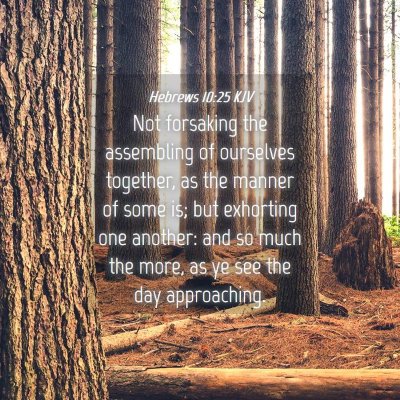 Picture 04 - Hebrews 10:25 KJV - Not forsaking the assembling of ourselves - Bible Verse Picture