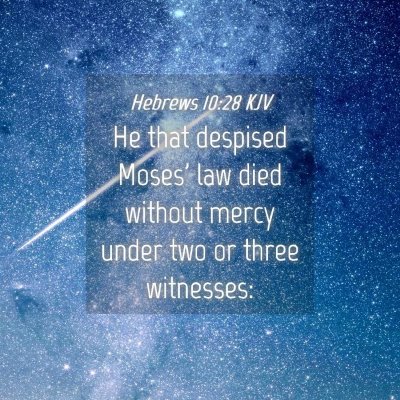 Picture 04 - Hebrews 10:28 KJV - He that despised Moses' law died without mercy - Bible Verse Picture