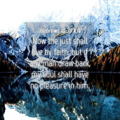 Picture 04 - Hebrews 10:38 KJV - Now the just shall live by faith: but if any man - Bible Verse Picture
