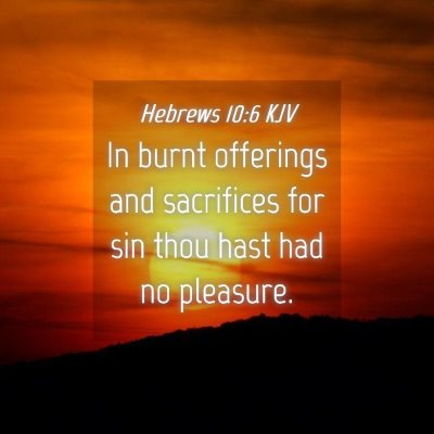 Picture 04 - Hebrews 10:6 KJV - In burnt offerings and sacrifices for sin thou - Bible Verse Picture