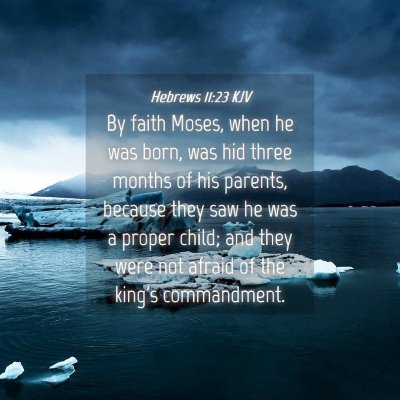 Picture 04 - Hebrews 11:23 KJV - By faith Moses, when he was born, was hid three - Bible Verse Picture