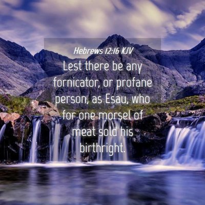 Picture 04 - Hebrews 12:16 KJV - Lest there be any fornicator, or profane person, - Bible Verse Picture