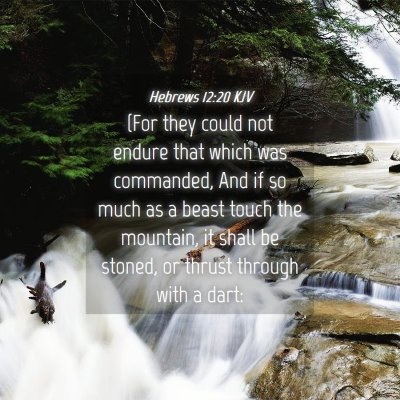 Picture 04 - Hebrews 12:20 KJV - (For they could not endure that which was - Bible Verse Picture