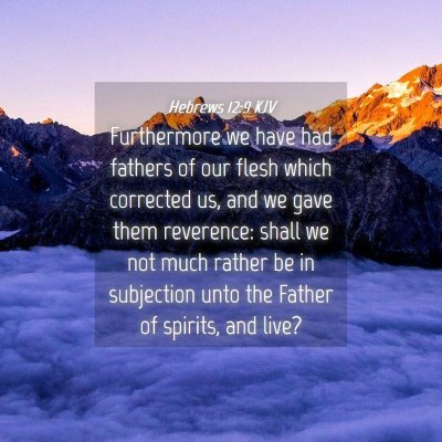 Picture 04 - Hebrews 12:9 KJV - Furthermore we have had fathers of our flesh - Bible Verse Picture