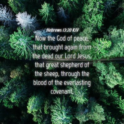Picture 04 - Hebrews 13:20 KJV - Now the God of peace, that brought again from the - Bible Verse Picture