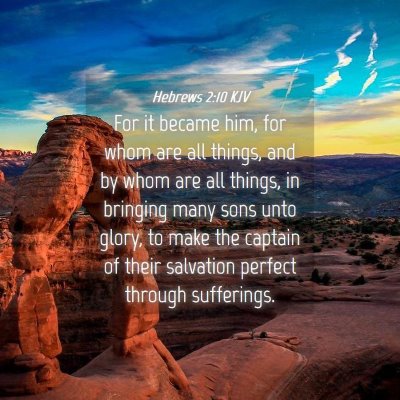 Picture 04 - Hebrews 2:10 KJV - For it became him, for whom are all things, and - Bible Verse Picture