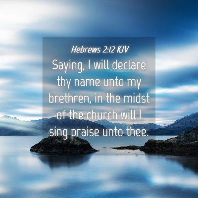 Picture 04 - Hebrews 2:12 KJV - Saying, I will declare thy name unto my brethren, - Bible Verse Picture