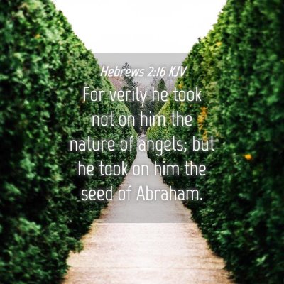 Picture 04 - Hebrews 2:16 KJV - For verily he took not on him the nature of - Bible Verse Picture