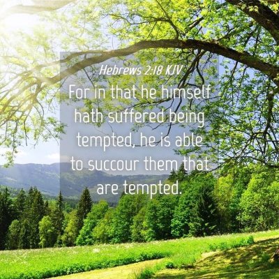 Picture 04 - Hebrews 2:18 KJV - For in that he himself hath suffered being - Bible Verse Picture