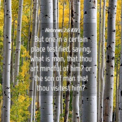 Picture 04 - Hebrews 2:6 KJV - But one in a certain place testified, saying, - Bible Verse Picture