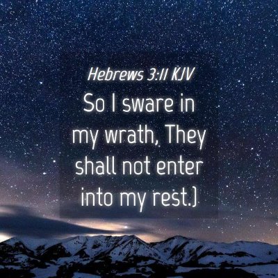 Picture 04 - Hebrews 3:11 KJV - So I sware in my wrath, They shall not enter into - Bible Verse Picture