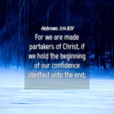 Picture 04 - Hebrews 3:14 KJV - For we are made partakers of Christ, if we hold - Bible Verse Picture
