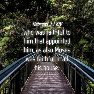 Picture 04 - Hebrews 3:2 KJV - Who was faithful to him that appointed him, as - Bible Verse Picture