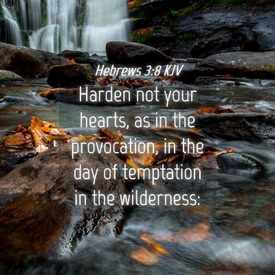 Picture 04 - Hebrews 3:8 KJV - Harden not your hearts, as in the provocation, in - Bible Verse Picture
