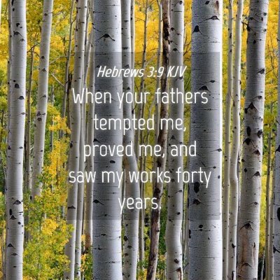 Picture 04 - Hebrews 3:9 KJV - When your fathers tempted me, proved me, and saw - Bible Verse Picture